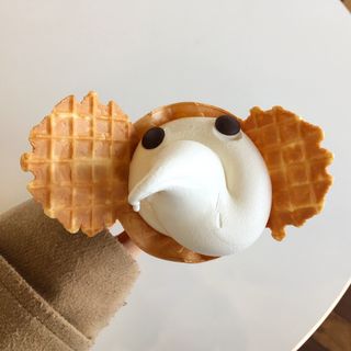 象の鼻カフェ