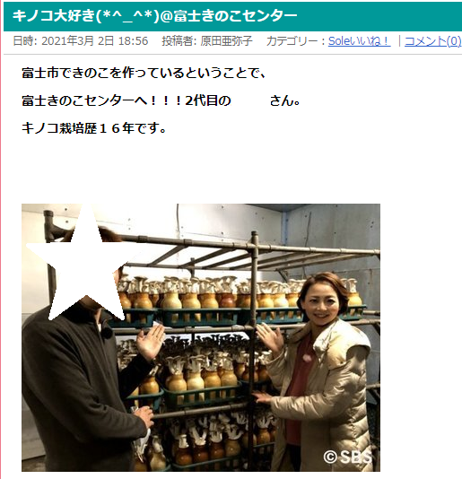 ブログタイトル