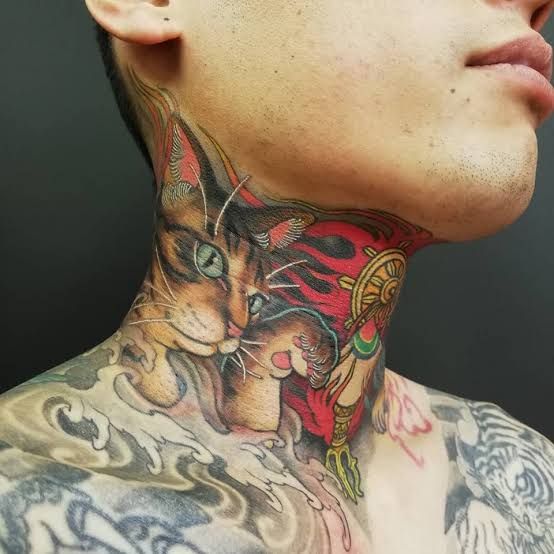 猫