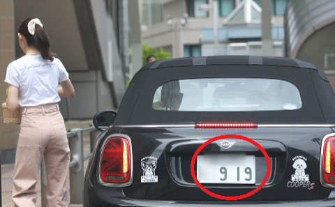 車のナンバー919